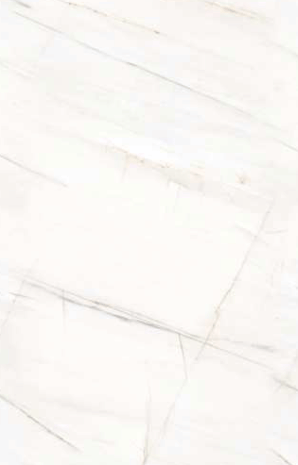 SLAVI  POLISHED 80X1.60 2.56 ITALICA