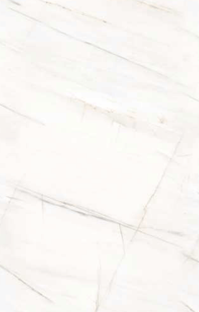 SLAVI  POLISHED 80X1.60 2.56 ITALICA